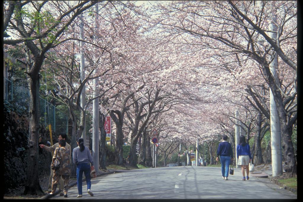 Pension Nova Atami  Buitenkant foto