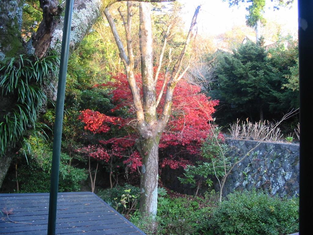 Pension Nova Atami  Buitenkant foto